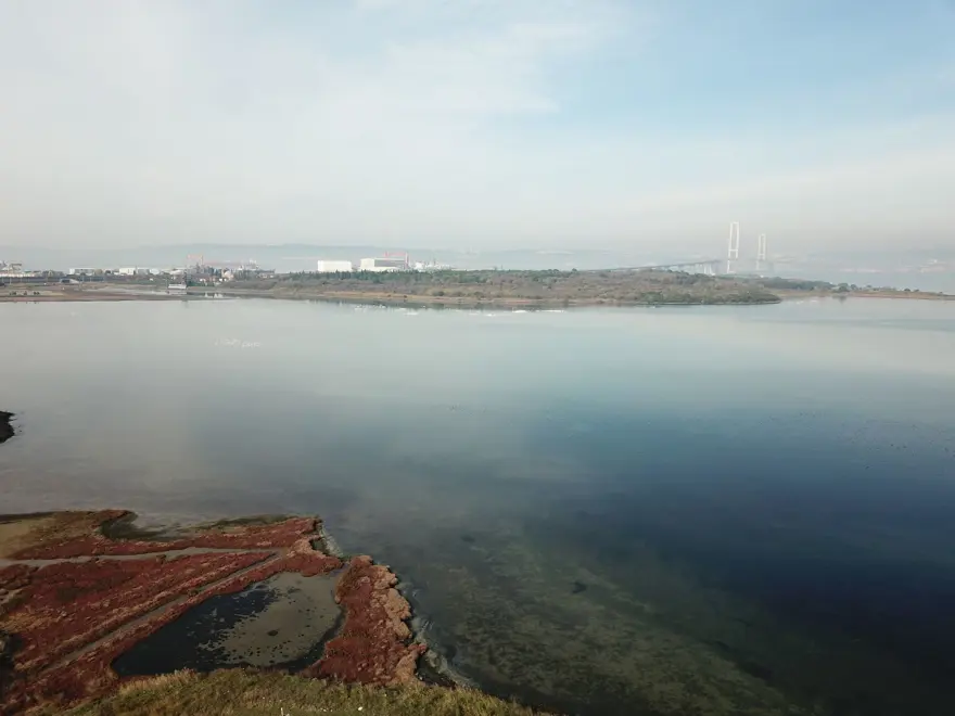 Hersek Lagünü'nde kuş türü sayısı 238'e yükseldi 13 Hersek Lagünü'nde kuş türü sayısı 238'e yükseldi 13