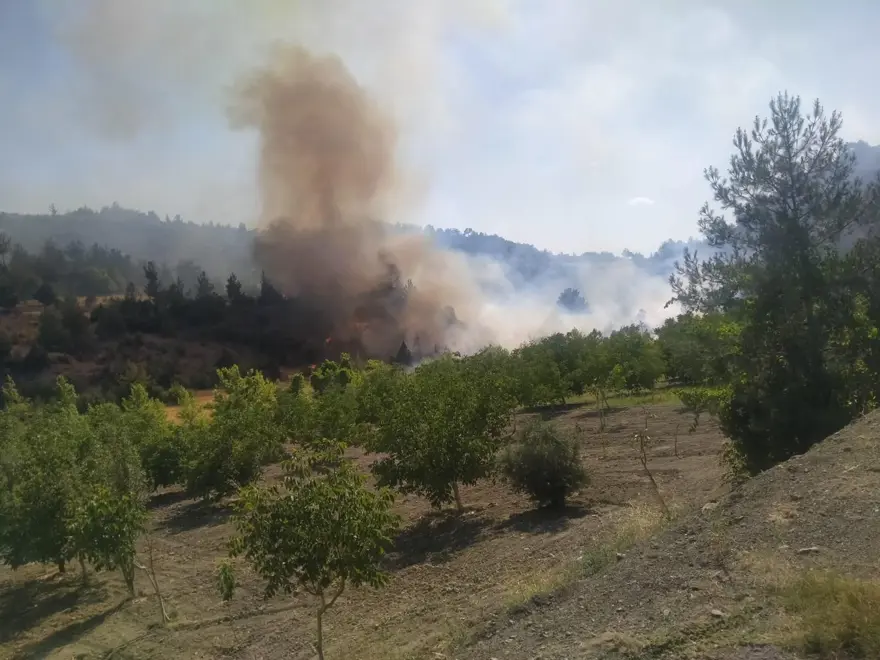 KAHRAMANMARAŞ'TA ORMAN YANGINI 7