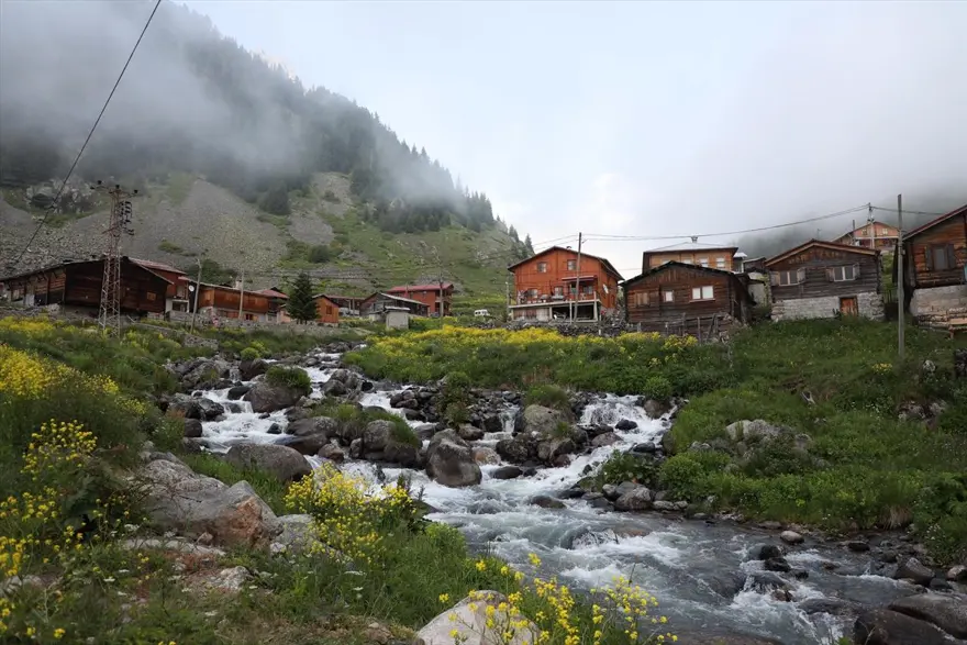 Karadeniz'in yeni gözdesi 'Elevit Yaylası' ziyaretçilerine nefes oluyor 12