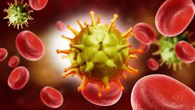 Dang humması nedir? Dang humması belirtileri nelerdir? (Leyla Bilginel'in tedavisi sürüyor)