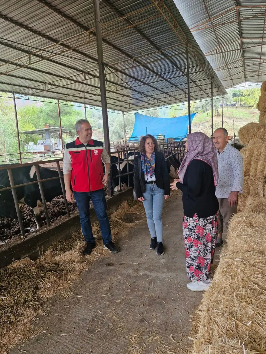 Kendi işletmesini kurdu: 25 büyükbaş hayvanla başladı 3 Kendi işletmesini kurdu: 25 büyükbaş hayvanla başladı 3