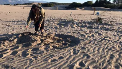 Bu sahillere gece giriş yasak: Cezası 557 bin 212 TL