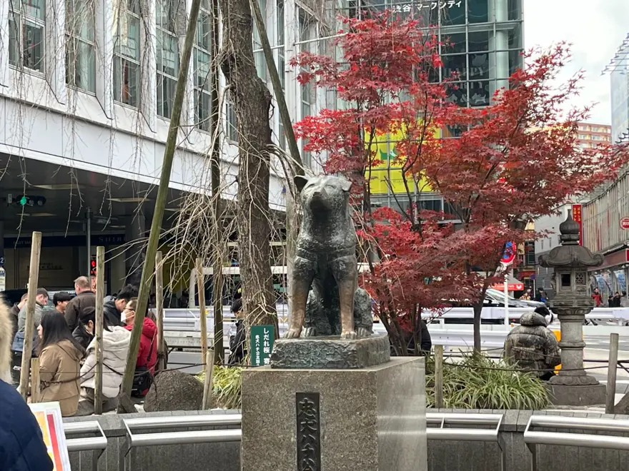 Tokyo'da gençlerin gözdesi: Yavru köpekli kafeler 3 Tokyo'da gençlerin gözdesi: Yavru köpekli kafeler 3