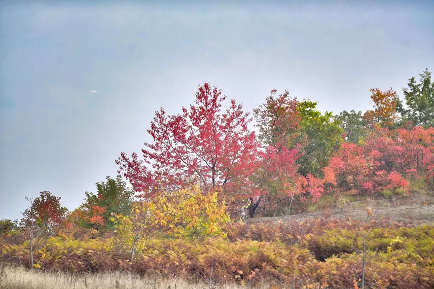 Eşsiz manzarası büyüledi: Doğal güzellik ortaya çıktı 4 Eşsiz manzarası büyüledi: Doğal güzellik ortaya çıktı 4