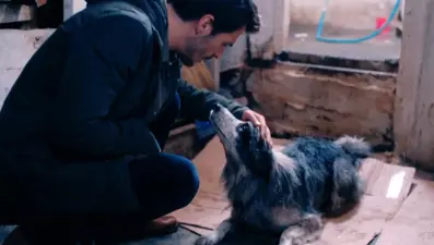 "Bütün canlılar, canı yandığında aynı ağlıyor!" (Çi'de hayvan hakları vurgusu)