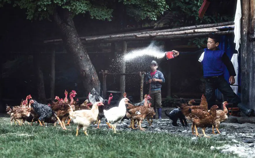 Aurel Paduraru, Kont Drakula, Transilvanya, Romen halkı, Osmanlı İmparatorluğu, Transilvanya fotoğrafları 11