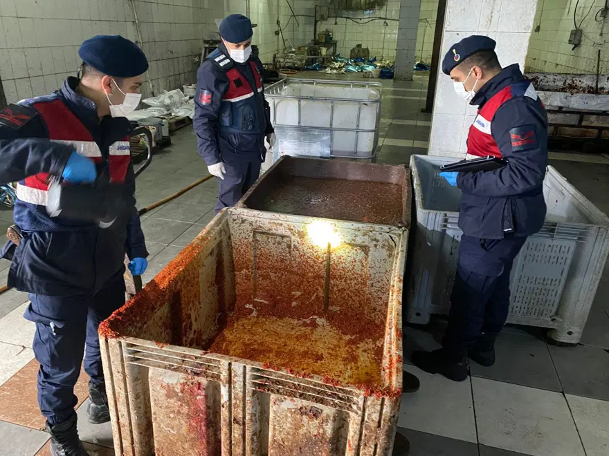 Besi çiftliğinde insan sağlığına aykırı salça üretimi 2 Besi çiftliğinde insan sağlığına aykırı salça üretimi 2