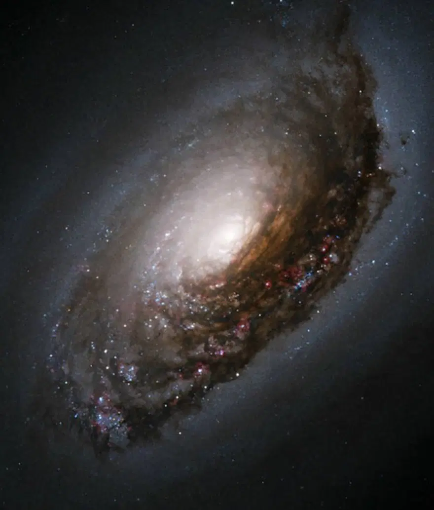NASA'dan 'James Webb' açıklaması (NASA'nın uzaydaki yeni gözü olacak) 46