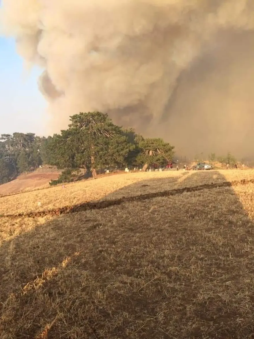 Çorum’da orman yangını 2 Çorum’da orman yangını 2
