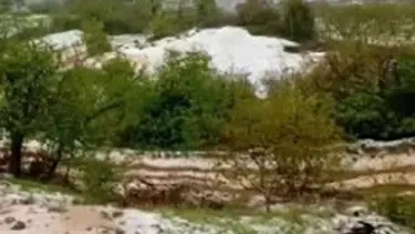 İzmir'de dolu yağışı: Araziler beyaza büründü