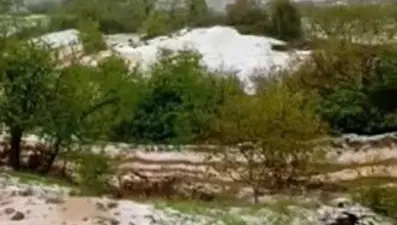 İzmir'de dolu yağışı: Araziler beyaza büründü