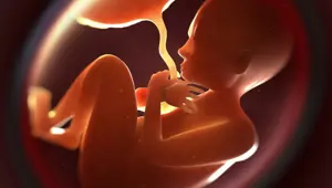 Bebeklerin plasentasında ilk kez mikroplastik tespit edildi