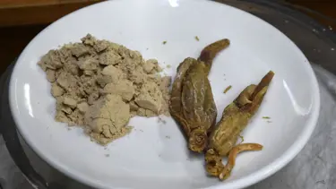 Bağışıklığı güçlendiren 'ginseng', kilosu 2 bin TL'den satılıyor
