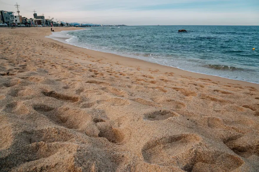 NEDENİ İKLİM DEĞİŞİKLİĞİ VE İNSAN FAALİYETLERİ 2