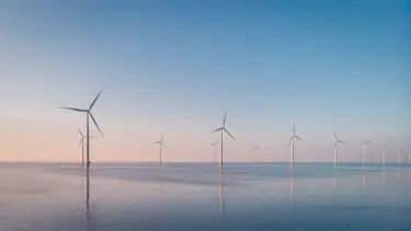 Enerjide dönüşüm yılı: Kömür geride kaldı, temiz kaynaklar zirvede
