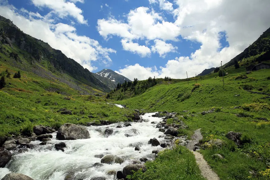 elevit yaylası, doğu karadeniz yaylaları, rize yaylaları, en güzel yaylalar 