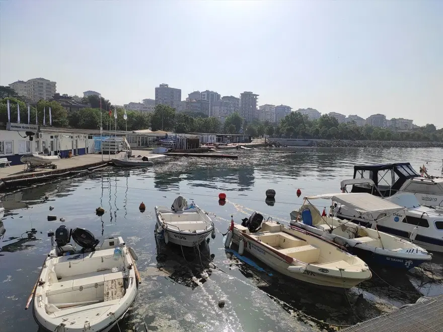 İstanbul'un bazı sahillerinde müsilaj yoğunluğu azaldı 2