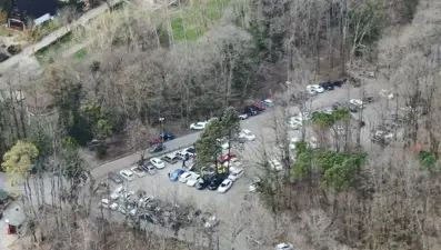 Corona virüs uyarını dinlemeyen piknikçiler Belgrad Ormanı'na akın etti