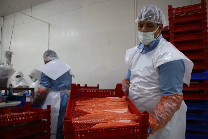 450 KİŞİ İSTİHDAM EDİLİYOR 3