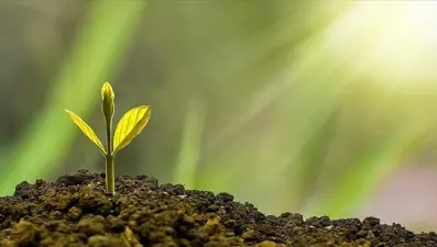 İklim Kanunu ile finansal teşviklere erişim artacak