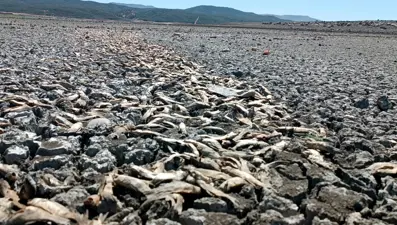 Su tamamen çekildi: Hamamlar Höyüğü gün yüzüne çıktı
