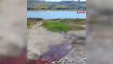 Kurban kanı baraja aktı