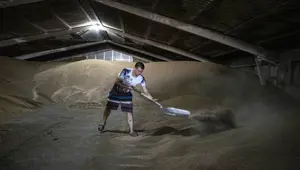 Tahıl gemilerinin limanlardan çıkışını bekleyen Ukraynalı çiftçilerden Türkiye'ye teşekkür