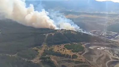 İzmir Aliağa'da orman yangını