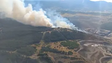 İzmir Aliağa'da orman yangını