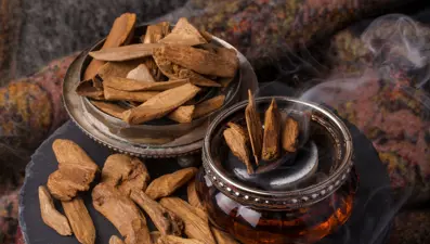 'Udi Hindi' yağı nedir? (Udi Hindi bitkisinin faydaları neler?)