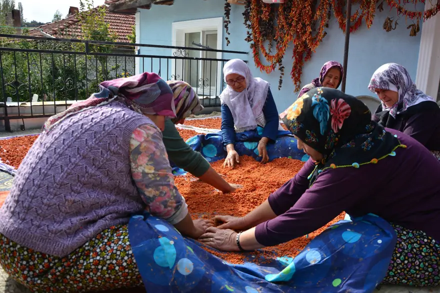16 çeşit sebze ve meyvenin harmanlanmasıyla yapılıyor: Zahmetli ama her kaşığı şifa 6 16 çeşit sebze ve meyvenin harmanlanmasıyla yapılıyor: Zahmetli ama her kaşığı şifa 6