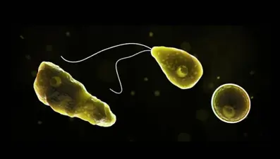 ABD'de beyin yiyen amip paniği