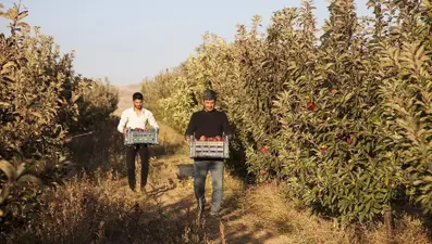 Kış meyveleri de pahalı olacak