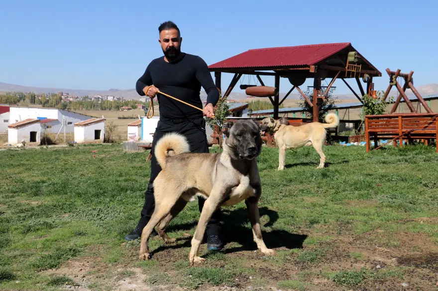 "ARAP ÜLKELERİNDEN OLDUKÇA TALEP GÖRMEKTE" 2 "ARAP ÜLKELERİNDEN OLDUKÇA TALEP GÖRMEKTE" 2