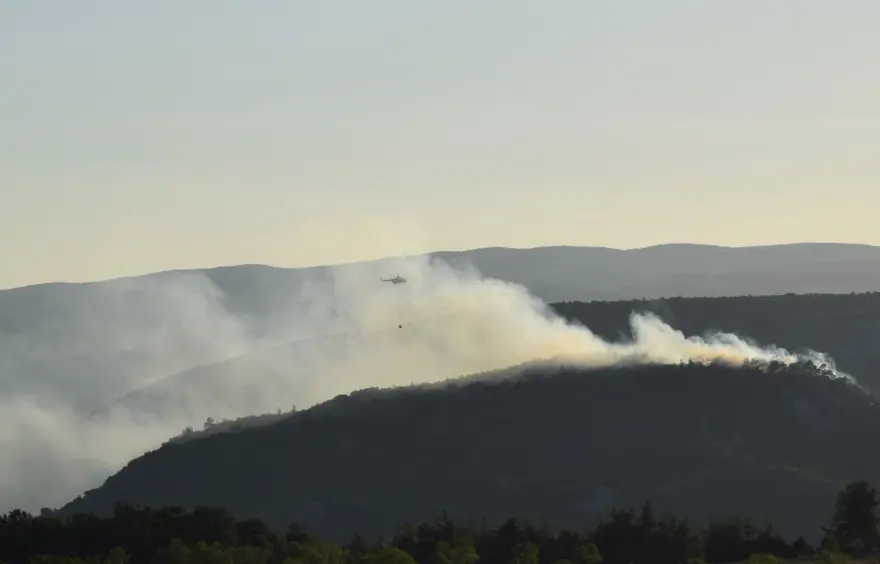 Bilecik'te iki gün önce çıkan orman yangını kontrol altında 