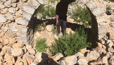 Tarihi Nodar Han ve hana ait kemerli kuyu define avcıları tarafından talan edildi