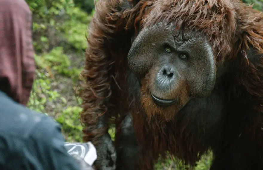 19. Maurice (Planet Of The Apes) 5 19. Maurice (Planet Of The Apes) 5