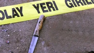 Tartıştığı annesini bıçaklayarak öldürdü