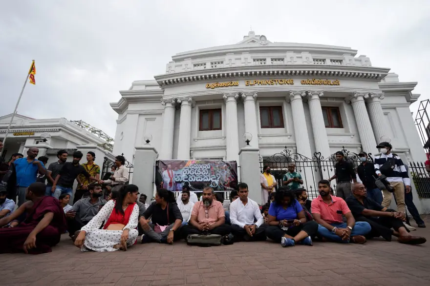 Sri Lanka'da ekonomik kriz: 100 bin makak maymununu satıyor 8
