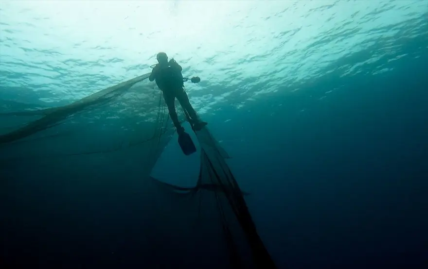 'Hayalet ağ' dalış turizmi için batırılan vapuru kapladı 7