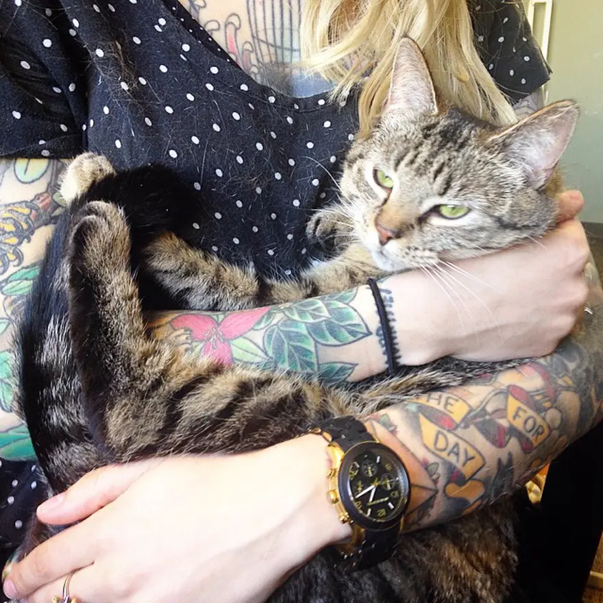 Hayatını kedileri kurtarmaya adadı 156