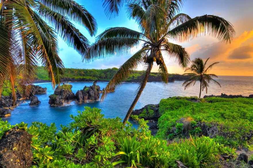 Turizm cenneti Hawaii corona virüs kısıtlamalarını kaldırıyor 12