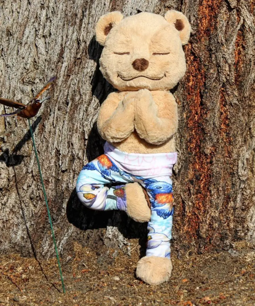 İnternetin yeni fenomeni Yogi Ayı Meddy Teddy 6