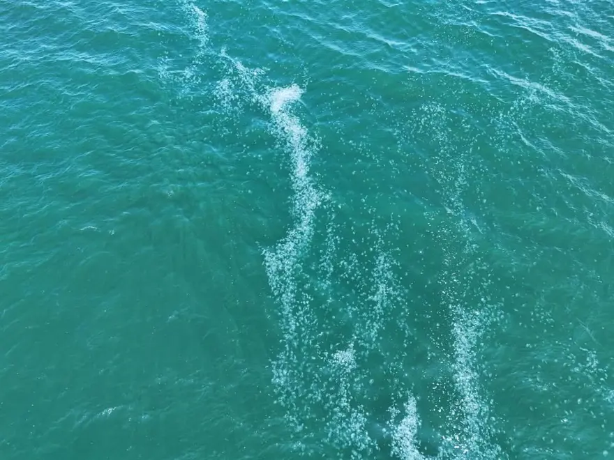 İstanbul açıklarında endişe yaratan görüntü: Sarayburnu’ndanBakırköy’e kadar uzanıyor 5