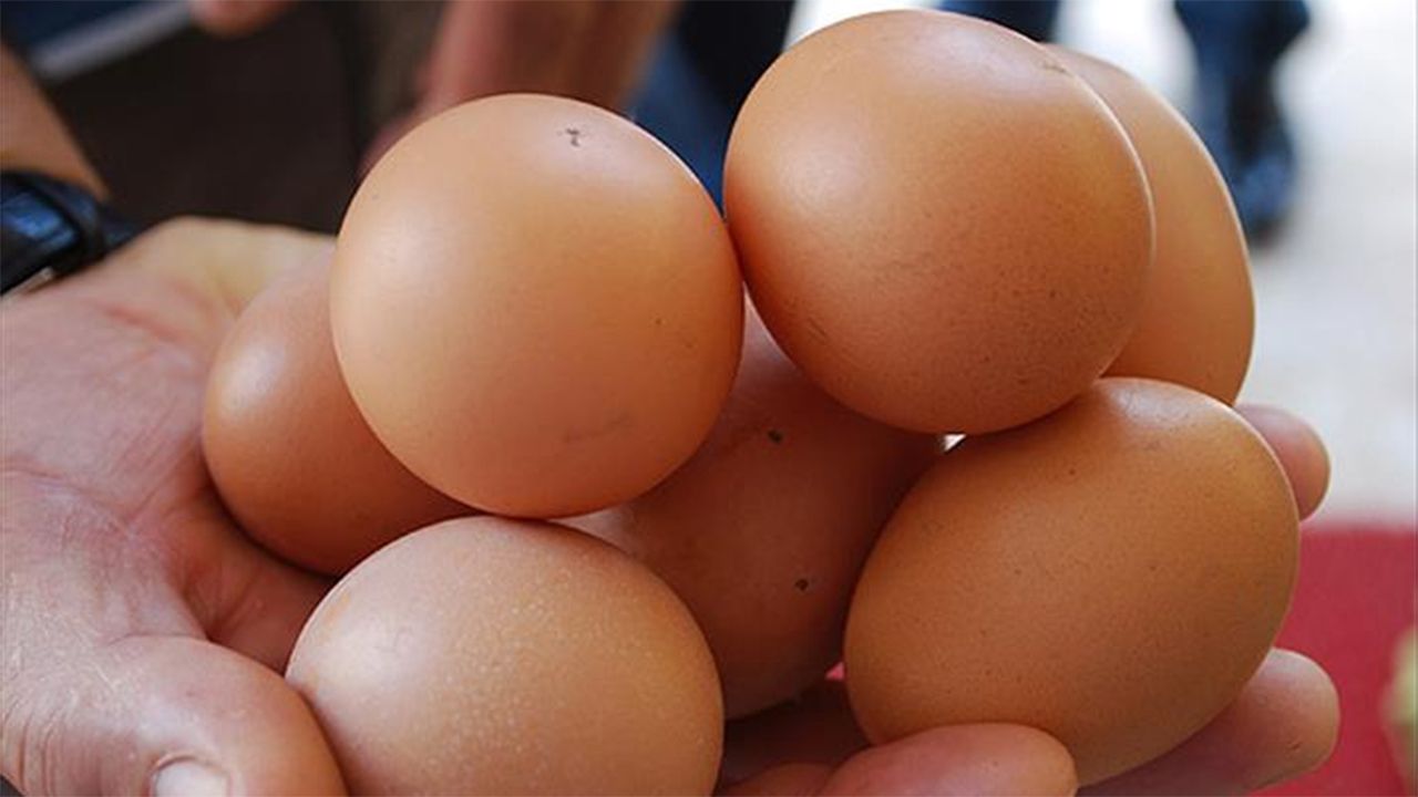 Bilim insanlarına göre yumurtayı soymanın en iyi yolu