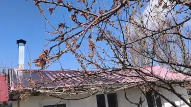 Dondurucu soğuk kayısıyı vurdu