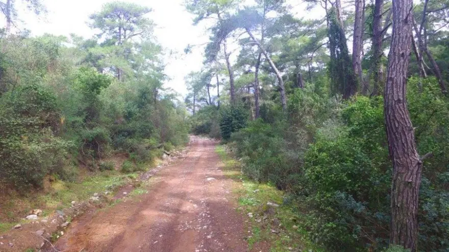 milli park, ülkemizdeki milli parklar, türkiye milli parklar, türkiye'nin milli parkları, türkiye milli parklar listesi, türkiyedeki milli parklar 2022, türkiye'deki milli parklar haritası 58