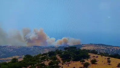 Bolu ve Çanakkale'de orman yangını: Ekipler alevlere müdahale ediyor