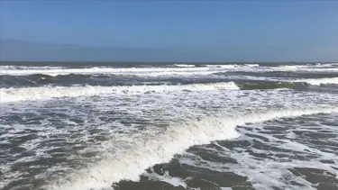 Kardeşini kurtarmak isterken boğuldu