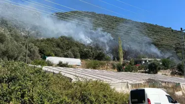 SON DAKİKA HABERİ: Kaş'ta makilik alanda yangın